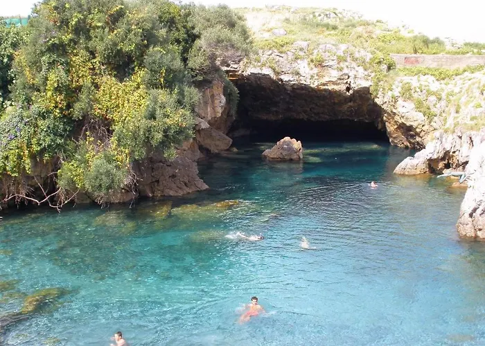 Centrico Grupos De 10 Personas