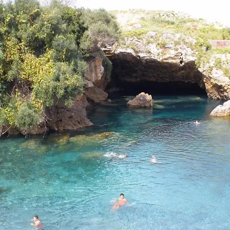 Centrico Grupos De 10 Personas